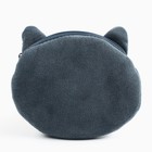 Леденцы «Кис-кис» в кошельке, со вкусом арбуза, 40 г - Фото 4