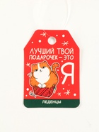 Леденцы «Лучший подарочек» в кошельке, со вкусом арбуза, 40 г - Фото 7