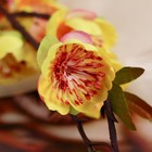Цветы искусственные "Фаленопсис" 54 см, жёлтый - Фото 2