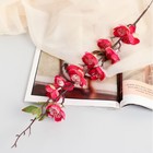 Цветы искусственные "Фаленопсис" 54 см, малиновый - фото 319769094