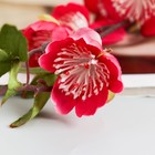 Цветы искусственные "Фаленопсис" 54 см, малиновый - фото 30906119 Цветы искусственные "Фаленопсис" 54 см, малиновый - фото 30906119