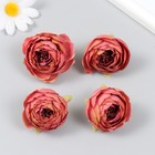 Бутон на ножке для декорирования "Пион Шарм" терракотовый 3,5х3,5 см (комплект 4 шт) - фото 22521328