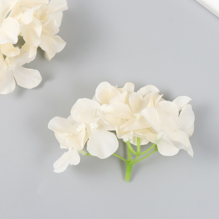 Цветы для декорирования Гортензия бело-жёлтые 10х10 см