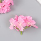 Цветы для декорирования "Гортензия" розовые 10х10 см - фото 319769122