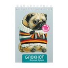 Блокнот А6 80 листов в клетку, на гребне «Мопс», обложка мелованный картон, УФ-лак, блок 65 г/м2 - фото 10773931