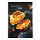 Блокнот А6 40 листов в клетку «Сочные планеты», обложка мелованный картон, блок 65г/м² - Фото 1