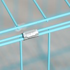 Клетка для собак 61 х 42 х 50 см, синяя - Фото 12