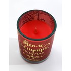 Набор свечей «Зимнее волшебство», ароматы ваниль и ягоды 5х6х5 см - фото 31445208