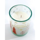 Набор свечей «Зимнее волшебство», ароматы ваниль и ягоды 5х6х5 см - фото 31445210