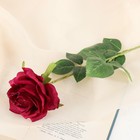 цветы искусственные роза капля 55 см бордо - Фото 1