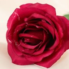 цветы искусственные роза капля 55 см бордо - Фото 2