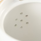 Набор керамический чайный «Сакура», 6 предметов: 4 кружки 250 мл, чайник 1 л, поднос d=29 см, цвет белый - Фото 5