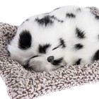 Игрушка на панель авто, собака на подушке, бело-черный окрас - Фото 2