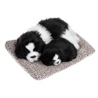 Игрушка на панель авто, собаки на подушке, бело-черный окрас - фото 10833970