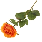 цветы искусственные роза капля 55 см оранжевый - Фото 1