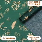 Бумага упаковочная тишью, новогодняя упаковка «Зимнее настроение»,50×66 см - Фото 1