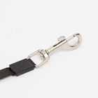 Рулетка с поводком-лентой, резиновая ручка, 5 м, вес животного до 15 кг, лапки на белом - Фото 3