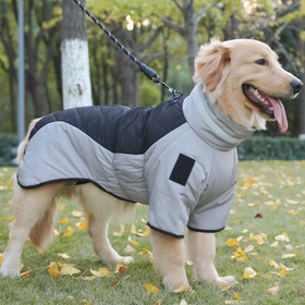 Куртка для больших собак, мембрана+хлопок, размер XL (ДС 40, ОШ 41, ОГ 56 см), серо-чёрная