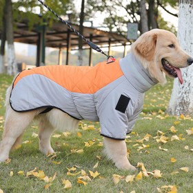 Куртка для больших собак, мембрана+хлопок, размер XL (ДС 40, ОШ 41, ОГ 56 см),серо-оранжевая   97125