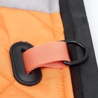 Куртка для больших собак, мембрана, XL (ДС 40, ОШ 41, ОГ 56 см), серо-оранжевая - Фото 7