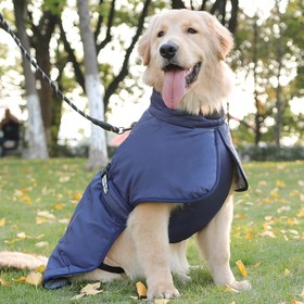 Попона для больших собак, мембранная ткань,  размер XL (ДС 35, ОШ 38, ОГ 56-66 см), синяя