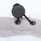 Куртка для больших собак, мембрана, 2XL (ДС 45, ОШ 45, ОГ 63 см), серо-оранжевая - Фото 6