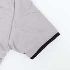 Куртка для больших собак, мембрана, 2XL (ДС 45, ОШ 45, ОГ 63 см), серо-оранжевая - Фото 8