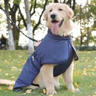 Попона для больших собак, мембранная ткань,  размер 2XL (ДС 43, ОШ 46, ОГ 62-68 см), синяя - фото 10775136