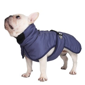Попона для больших собак, мембранная ткань,  размер 2XL (ДС 43, ОШ 46, ОГ 62-68 см), синяя