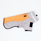 Куртка для больших собак, мембрана, 3XL (ДС 50, ОШ 49, ОГ 69 см), серо-оранжевая - Фото 1