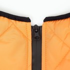Куртка для больших собак, мембрана, 3XL (ДС 50, ОШ 49, ОГ 69см),серо-оранжевая   9 - Фото 10