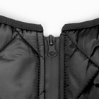 Куртка для больших собак, мембрана, 4XL (ДС 55, ОШ 53, ОГ 73 см), серо-чёрная - Фото 10