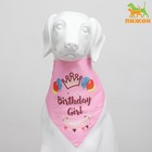 Платок для животных "С днём рождения", 15 х 12 х 1 см, розовый - фото 10818777