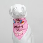 Платок для животных "С днём рождения", 15 х 12 х 1 см, розовый - Фото 2