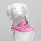 Платок для животных "С днём рождения", 15 х 12 х 1 см, розовый - фото 7172230