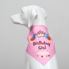 Платок для животных "С днём рождения", 15 х 12 х 1 см, розовый - фото 7172231