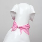 Платок для животных «С днём рождения», 15×12×1 см, розовый - Фото 5