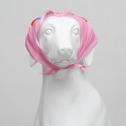 Платок для животных «С днём рождения», 15×12×1 см, розовый - Фото 6