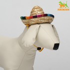 Шляпа для животных, размер S (16 х 8 х 7 см) - фото 10818795