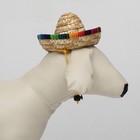 Шляпа для животных, размер S (16 х 8 х 7 см) - фото 805846271