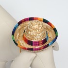 Шляпа для животных, размер S (16 х 8 х 7 см) - фото 805846272