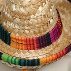 Шляпа для животных, размер S, 16×8×7 см - Фото 4