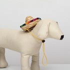 Шляпа для животных, размер S, 16×8×7 см - Фото 6