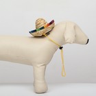 Шляпа для животных, размер S, 16×8×7 см - Фото 7