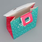 Пакет подарочный с формовым клапаном, упаковка, «Желаю счастья», 23 х 27 х 11.5 см - Фото 6