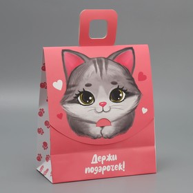 Пакет подарочный с формовым клапаном, упаковка, «Котик», 23 х 27 х 11.5 см