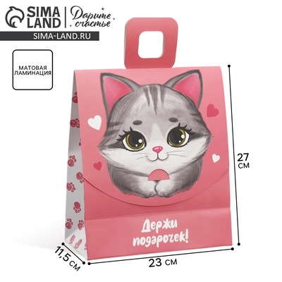 Пакет подарочный с формовым клапаном, упаковка, «Котик», 23×27×11.5 см