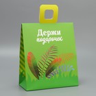 Пакет подарочный с формовым клапаном, упаковка, «Львенок», 23 х 27 х 11.5 см - фото 7144627