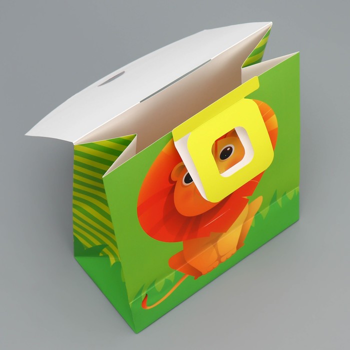 Пакет с формовым клапаном «Львенок», 23 × 27 × 11.5 см