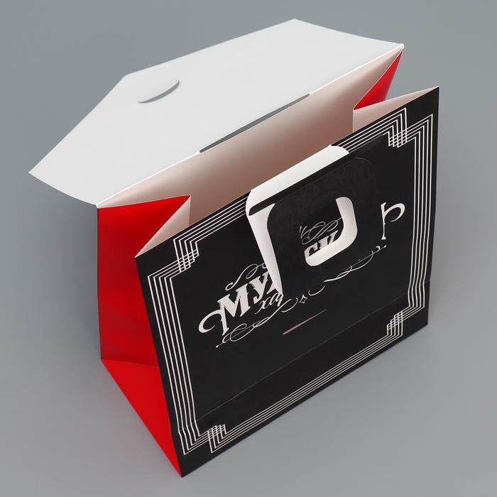 Пакет подарочный с формовым клапаном, упаковка, «Мужской», 23 х 27 х 11.5 см - фото 1909261105
